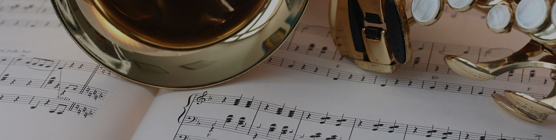 中國民族管弦樂學會-微信考試證書平臺|一網(wǎng)天行-網(wǎng)站建設(shè)小程序APP系統(tǒng)軟件開發(fā)公司