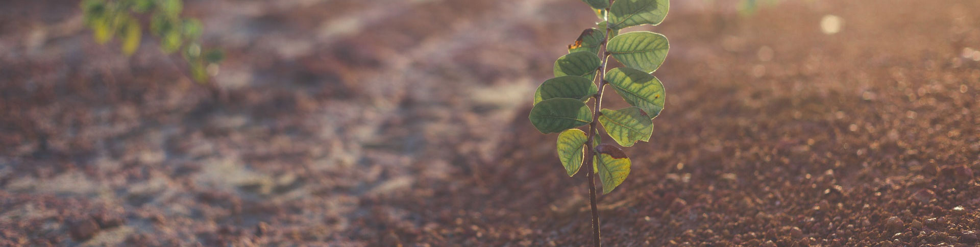 微源生物企業(yè)宣傳網站|一網天行-網站建設小程序APP系統(tǒng)軟件開發(fā)公司