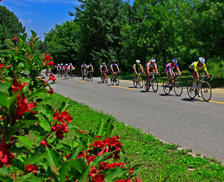 京西北旅游宣傳網(wǎng)站
