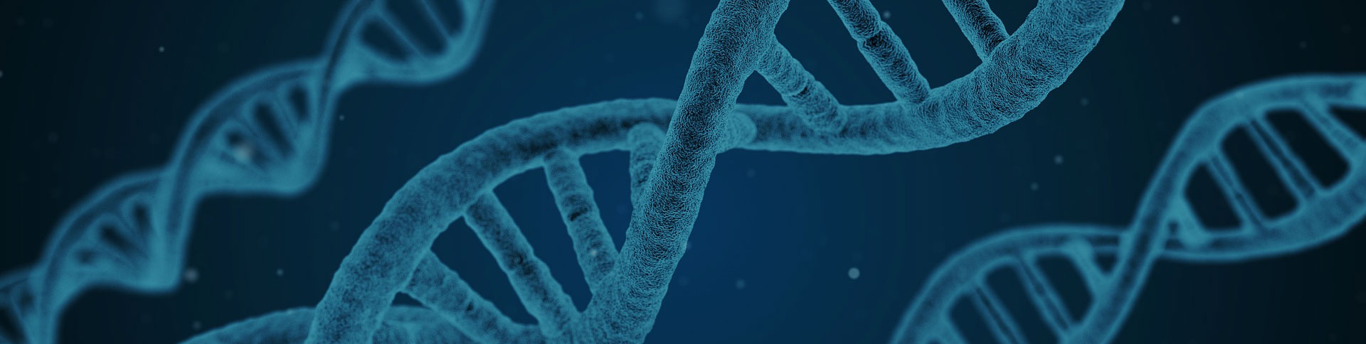 360基因官方網(wǎng)站|一網(wǎng)天行-網(wǎng)站建設小程序APP系統(tǒng)軟件開發(fā)公司