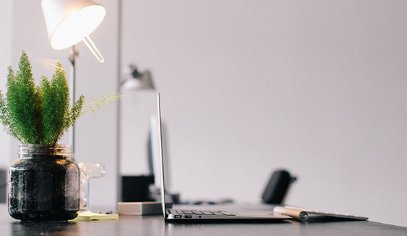 小程序開發(fā)|APP軟件開發(fā)|網(wǎng)站系統(tǒng)開發(fā)公司-一網(wǎng)天行